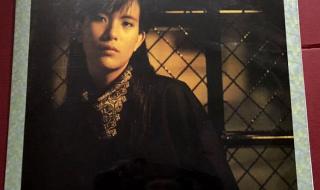 我曾用心爱着你 我曾用心爱着你