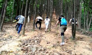 广州火炉山森林公园