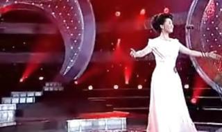 王丽达亲吻祖国 王丽达亲吻祖国