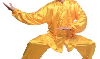 真丝太极服 真丝太极服