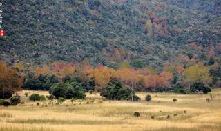 赤橙黄绿青蓝紫图片 赤橙黄绿青蓝紫图片