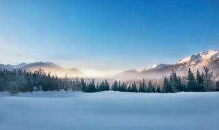 下雪了作文 下雪了作文