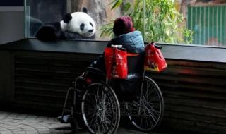 北动公布丫丫最新画面 北动公布丫丫最新画面