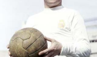 德国队历届世界杯排名 德国队历届世界杯排名